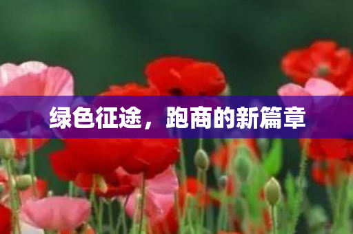绿色征途,跑商的新篇章 绿色征途,跑商的新篇章