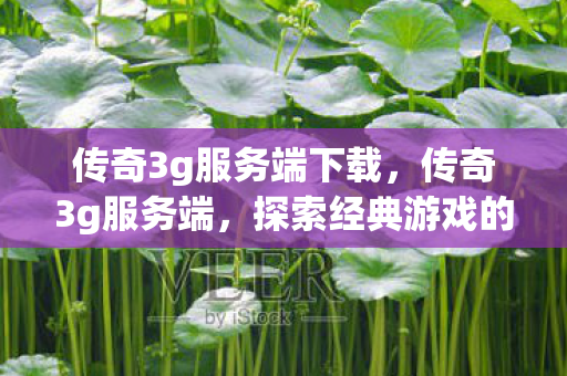 传奇3g服务端下载，传奇3g服务端，探索经典游戏的深度与广度