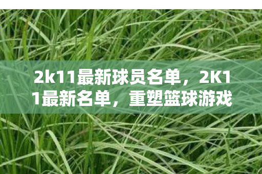 2k11最新球员名单，2K11最新名单，重塑篮球游戏的经典阵容