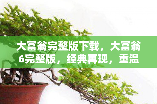 大富翁完整版下载，大富翁6完整版，经典再现，重温童年回忆