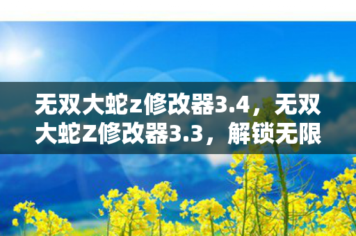 无双大蛇z修改器3.4，无双大蛇Z修改器3.3，解锁无限可能的战斗体验