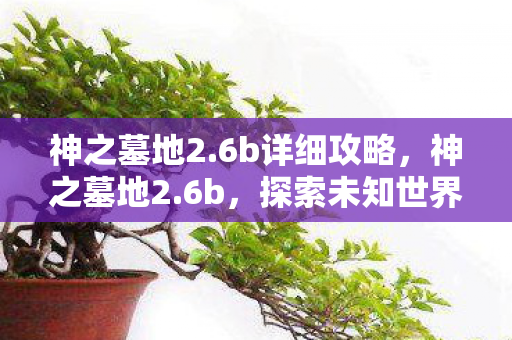 神之墓地2.6b详细攻略，神之墓地2.6b，探索未知世界的奇幻之旅