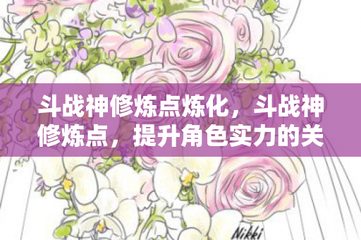 斗战神修炼点炼化，斗战神修炼点，提升角色实力的关键要素