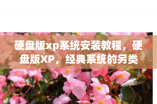 硬盘版xp系统安装教程，硬盘版XP，经典系统的另类生存