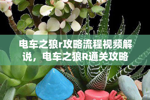 电车之狼r攻略流程视频解说，电车之狼R通关攻略