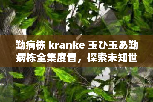 勤病栋 kranke 玉ひ玉あ勤病栋全集度音，探索未知世界的奇幻之旅