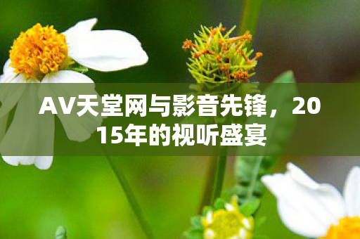 AV天堂网与影音先锋，2015年的视听盛宴