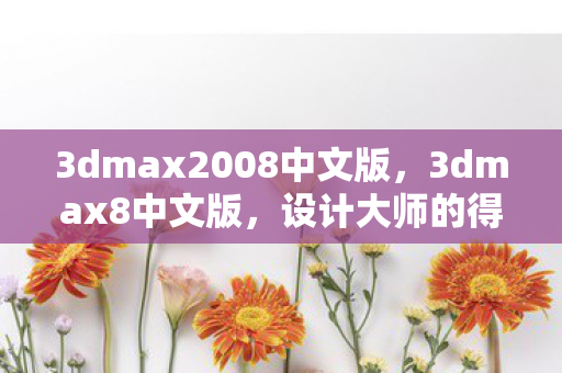 3dmax2008中文版，3dmax8中文版，设计大师的得力助手