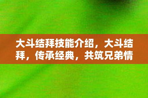 大斗结拜技能介绍，大斗结拜，传承经典，共筑兄弟情