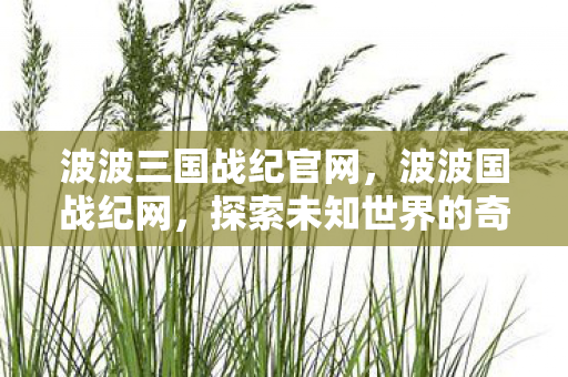 波波三国战纪官网，波波国战纪网，探索未知世界的奇幻之旅