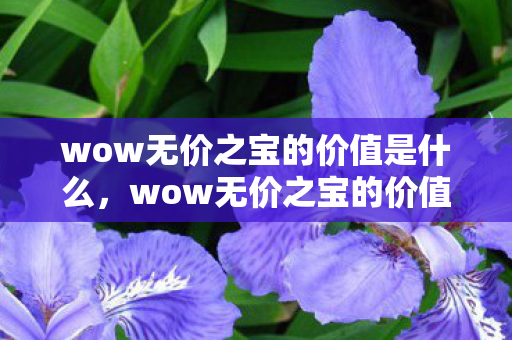 wow无价之宝的价值是什么，wow无价之宝的价值，探索游戏世界的无尽宝藏