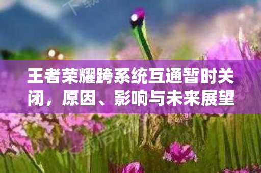 王者荣耀跨系统互通暂时关闭，原因、影响与未来展望