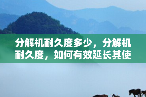 分解机耐久度多少，分解机耐久度，如何有效延长其使用寿命