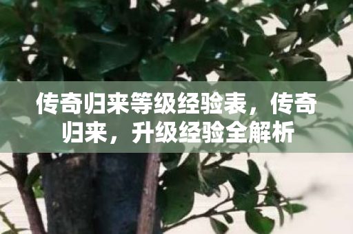 传奇归来等级经验表，传奇归来，升级经验全解析