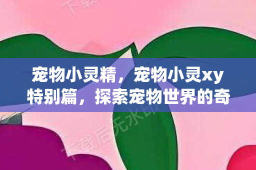 宠物小灵精，宠物小灵xy特别篇，探索宠物世界的奇妙之旅