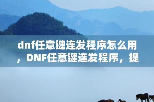 dnf任意键连发程序怎么用，DNF任意键连发程序，提升游戏体验的利器