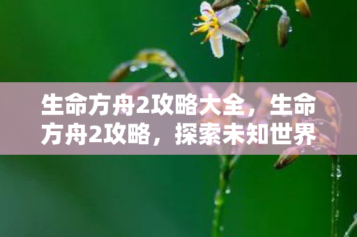 生命方舟2攻略大全，生命方舟2攻略，探索未知世界的全面指南