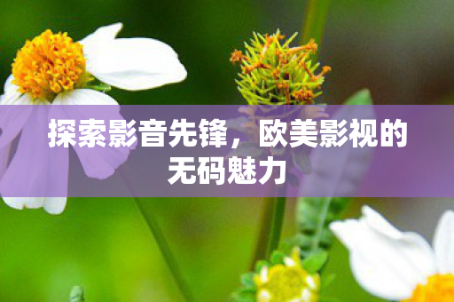 探索影音先锋，欧美影视的无码魅力