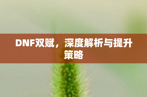 DNF双赋，深度解析与提升策略