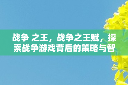战争 之王，战争之王赋，探索战争游戏背后的策略与智慧