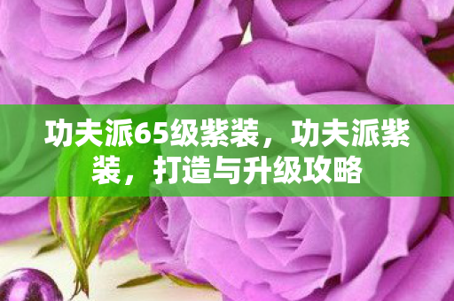功夫派65级紫装，功夫派紫装，打造与升级攻略