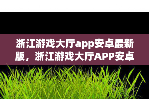 浙江游戏大厅app安卓最新版，浙江游戏大厅APP安卓，打造便捷游戏新体验