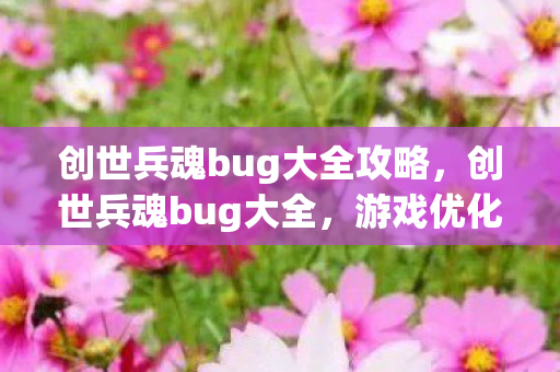 创世兵魂bug大全攻略，创世兵魂bug大全，游戏优化与玩家体验的深度剖析