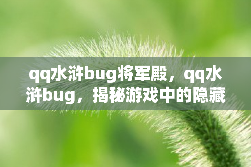 qq水浒bug将军殿，qq水浒bug，揭秘游戏中的隐藏漏洞与玩家应对策略