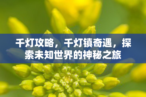 千灯攻略，千灯镇奇遇，探索未知世界的神秘之旅