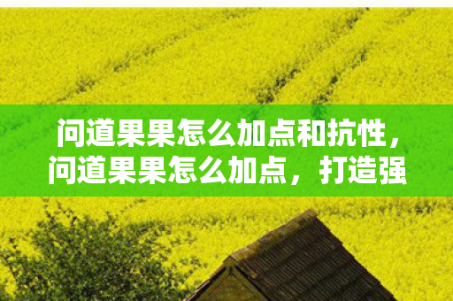 问道果果怎么加点和抗性，问道果果怎么加点，打造强力角色的加点策略