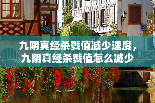 九阴真经杀戮值减少速度，九阴真经杀戮值怎么减少
