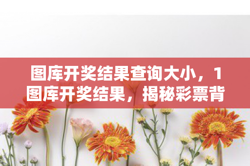 图库开奖结果查询大小，1图库开奖结果，揭秘彩票背后的数字奥秘