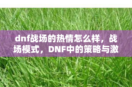 dnf战场的热情怎么样，战场模式，DNF中的策略与激情