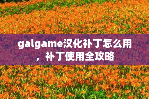 galgame汉化补丁怎么用，补丁使用全攻略