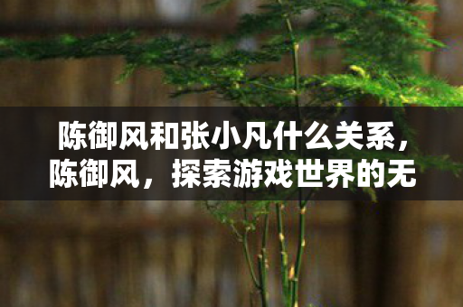 陈御风和张小凡什么关系，陈御风，探索游戏世界的无限可能