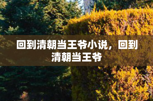 回到清朝当王爷小说，回到清朝当王爷