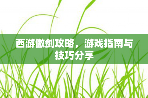 西游傲剑攻略，游戏指南与技巧分享