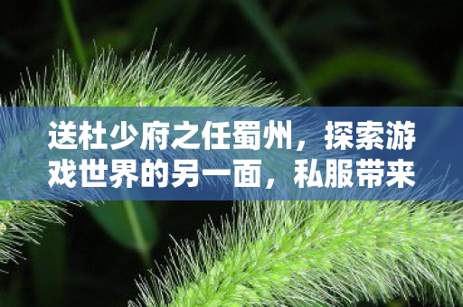 送杜少府之任蜀州，探索游戏世界的另一面，私服带来的全新游戏体验
