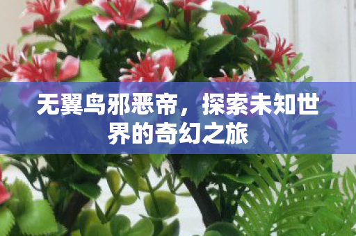 无翼鸟邪恶帝，探索未知世界的奇幻之旅