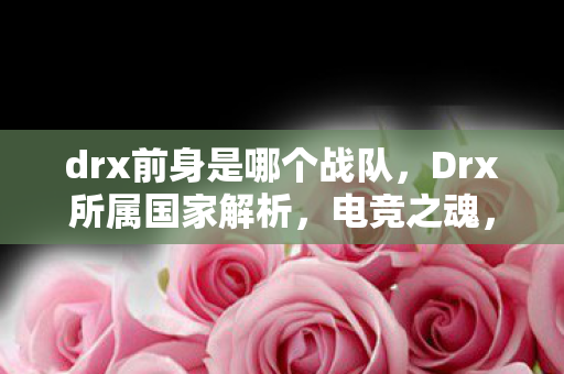 drx前身是哪个战队，Drx所属国家解析，电竞之魂，跨越国界的荣耀