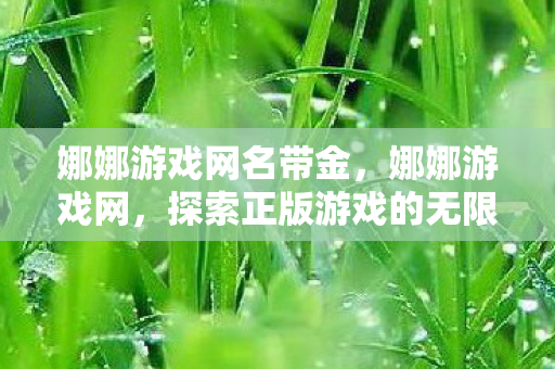 娜娜游戏网名带金，娜娜游戏网，探索正版游戏的无限可能