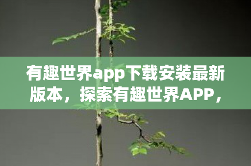 有趣世界app下载安装最新版本，探索有趣世界APP，下载、安装与奇妙体验全解析