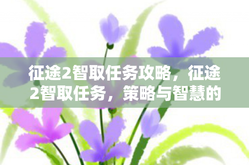 征途2智取任务攻略，征途2智取任务，策略与智慧的碰撞