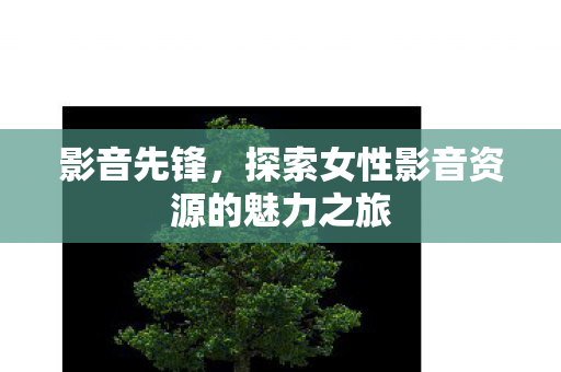 影音先锋，探索女性影音资源的魅力之旅