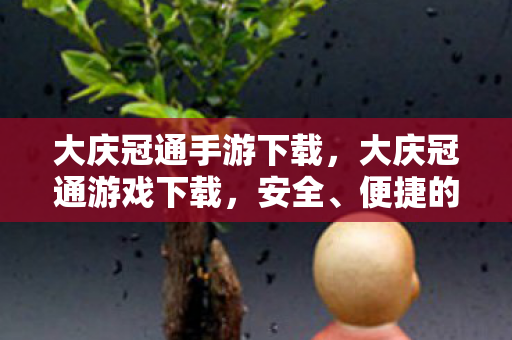 大庆冠通手游下载，大庆冠通游戏下载，安全、便捷的游戏体验新选择