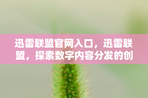 迅雷联盟官网入口，迅雷联盟，探索数字内容分发的创新之路