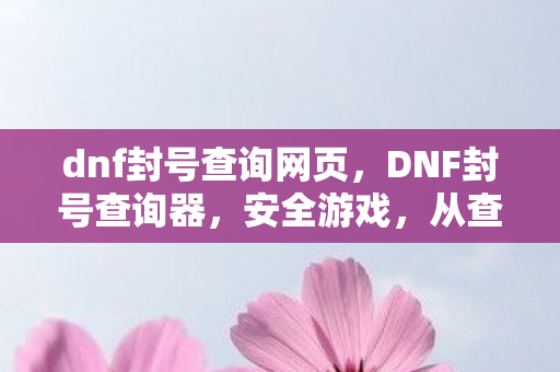 dnf封号查询网页，DNF封号查询器，安全游戏，从查询开始