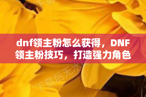 dnf领主粉怎么获得，DNF领主粉技巧，打造强力角色的秘密武器