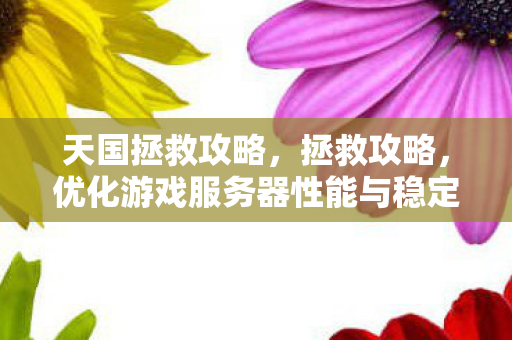 天国拯救攻略，拯救攻略，优化游戏服务器性能与稳定性