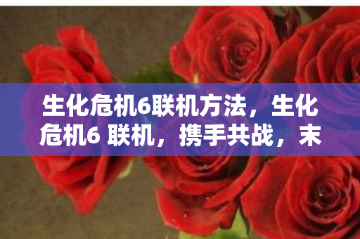 生化危机6联机方法，生化危机6 联机，携手共战，末日求生